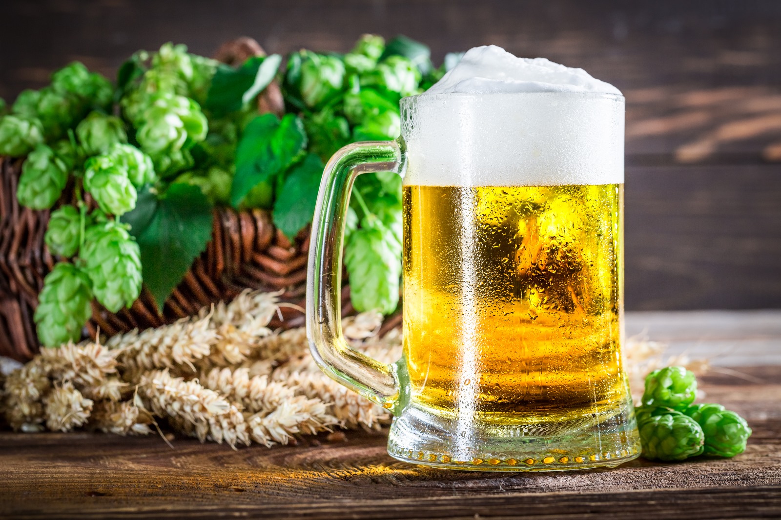 Nymburk chutná skvěle: průvodce gastronomií města